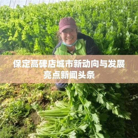 保定高碑店城市新动向与发展亮点新闻头条