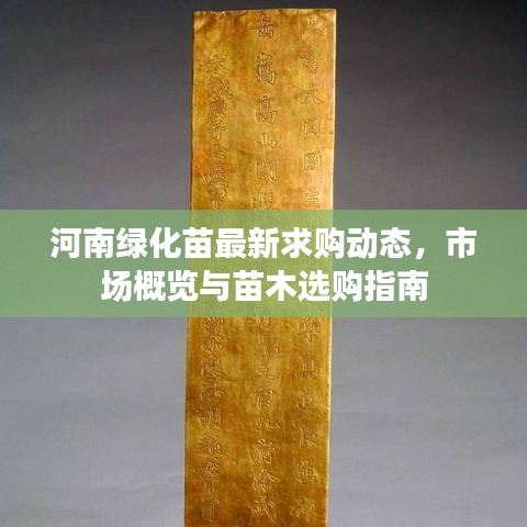 河南绿化苗最新求购动态，市场概览与苗木选购指南