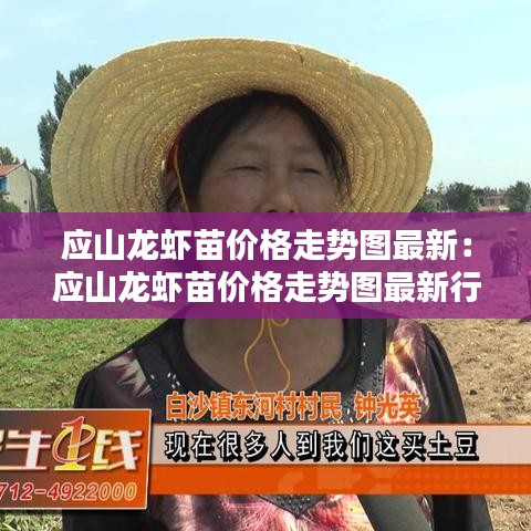 应山龙虾苗价格走势图最新：应山龙虾苗价格走势图最新行情 