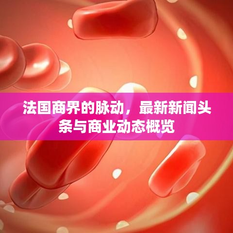 法国商界的脉动，最新新闻头条与商业动态概览