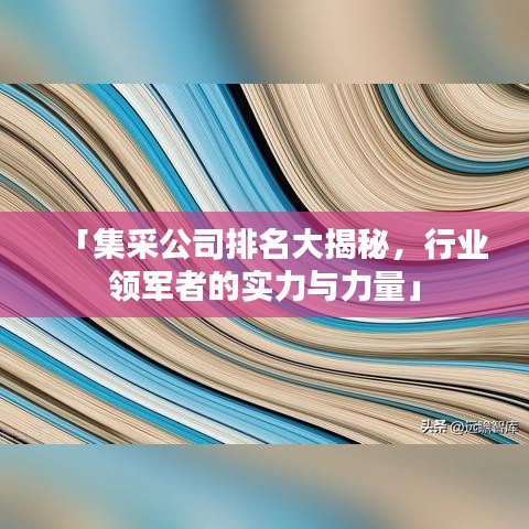 「集采公司排名大揭秘，行业领军者的实力与力量」