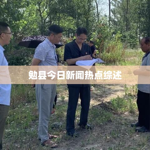 勉县今日新闻热点综述