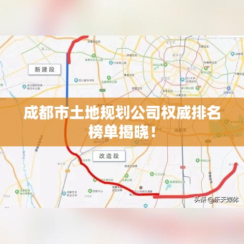 云龙井蛙 第2页