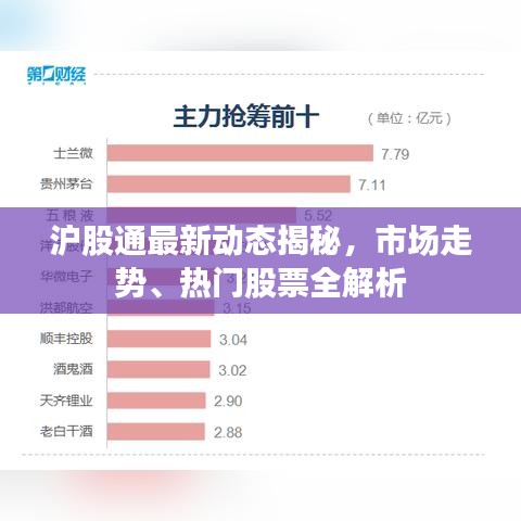沪股通最新动态揭秘，市场走势、热门股票全解析