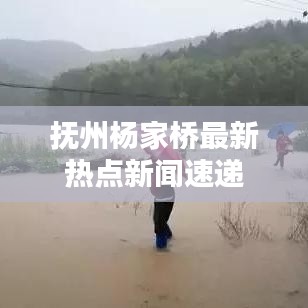 抚州杨家桥最新热点新闻速递