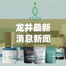 龙井最新消息新闻今日报道速递