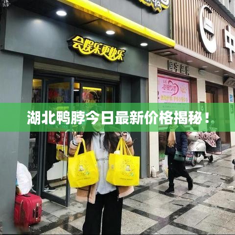 湖北鸭脖今日最新价格揭秘！