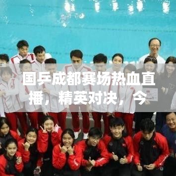 国乒成都赛场热血直播，精英对决，今日最新消息全掌握