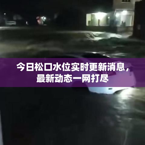 今日松口水位实时更新消息，最新动态一网打尽
