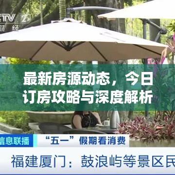 最新房源动态，今日订房攻略与深度解析