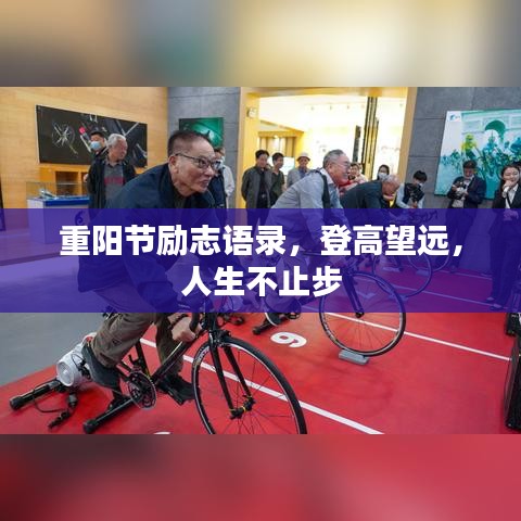 按部就班 第2页