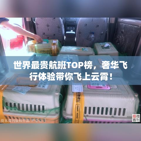 世界最贵航班TOP榜，奢华飞行体验带你飞上云霄！