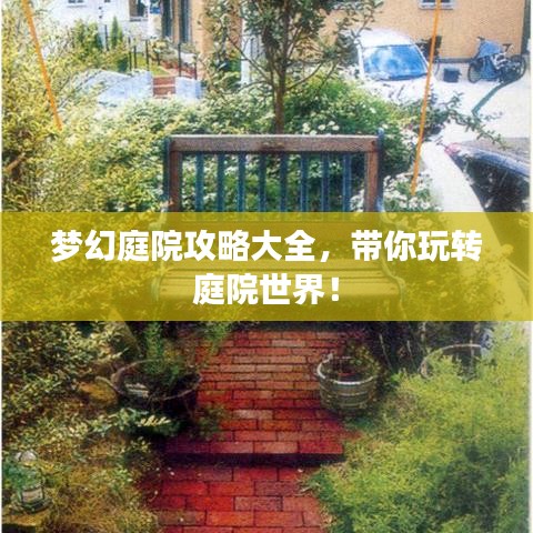 梦幻庭院攻略大全，带你玩转庭院世界！
