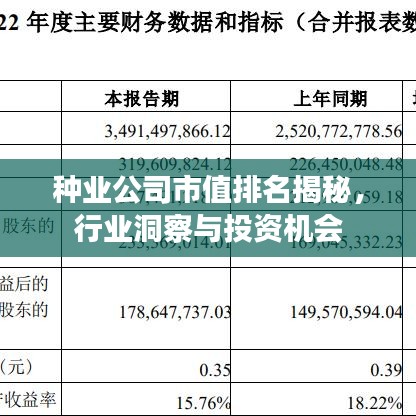 种业公司市值排名揭秘，行业洞察与投资机会