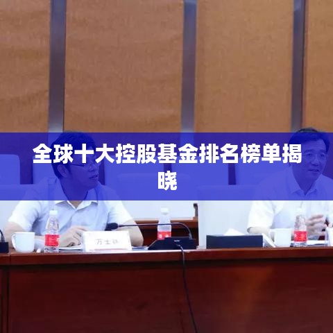全球十大控股基金排名榜单揭晓