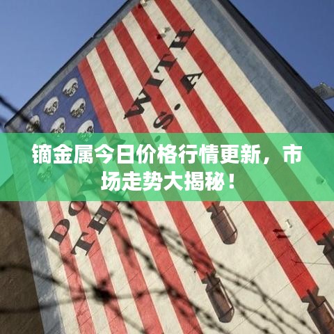 镝金属今日价格行情更新，市场走势大揭秘！