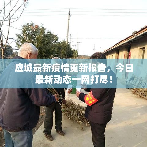 应城最新疫情更新报告，今日最新动态一网打尽！