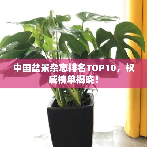 中国盆景杂志排名TOP10，权威榜单揭晓！