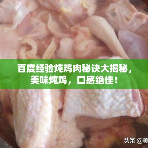百度经验炖鸡肉秘诀大揭秘，美味炖鸡，口感绝佳！