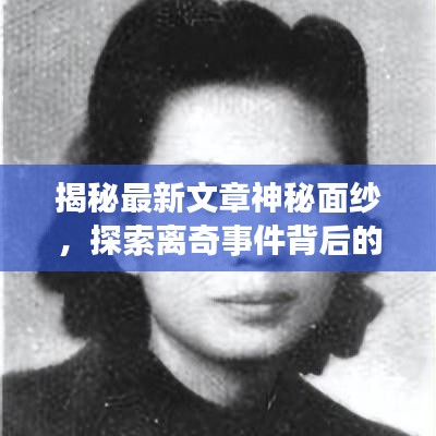 鸟飞兔走 第2页