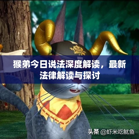猴弟今日说法深度解读，最新法律解读与探讨