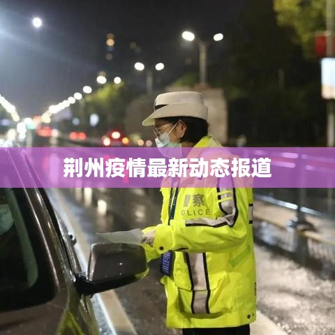 荆州疫情最新动态报道