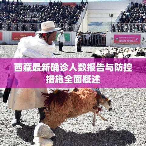 西藏最新确诊人数报告与防控措施全面概述