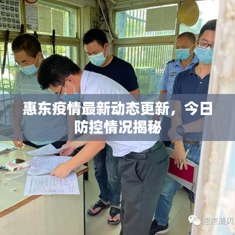 惠东疫情最新动态更新，今日防控情况揭秘