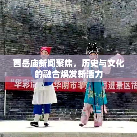 西岳庙新闻聚焦，历史与文化的融合焕发新活力