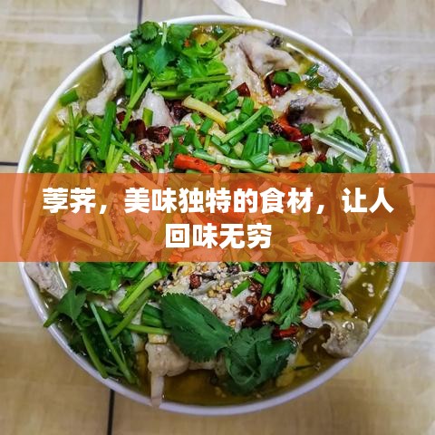 荸荠，美味独特的食材，让人回味无穷
