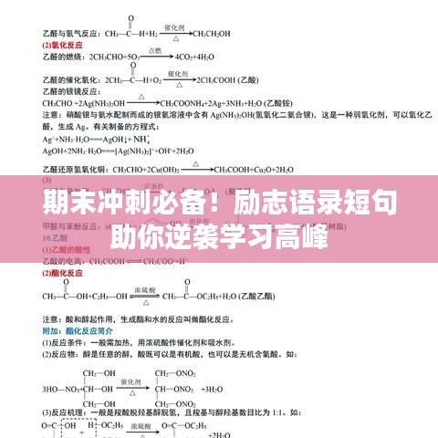 期末冲刺必备！励志语录短句助你逆袭学习高峰