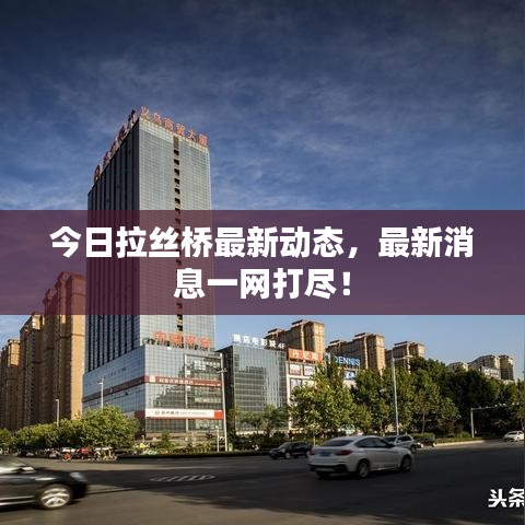 今日拉丝桥最新动态，最新消息一网打尽！