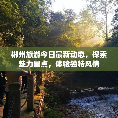 郴州旅游今日最新动态，探索魅力景点，体验独特风情