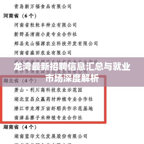 龙湾最新招聘信息汇总与就业市场深度解析