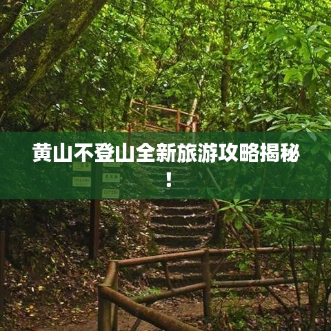 鸟吏鳖官 第2页
