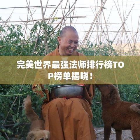 完美世界最强法师排行榜TOP榜单揭晓！