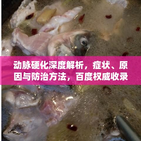 动脉硬化深度解析，症状、原因与防治方法，百度权威收录！