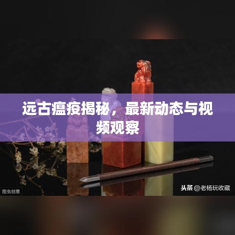 远古瘟疫揭秘，最新动态与视频观察