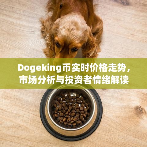 Dogeking币实时价格走势，市场分析与投资者情绪解读