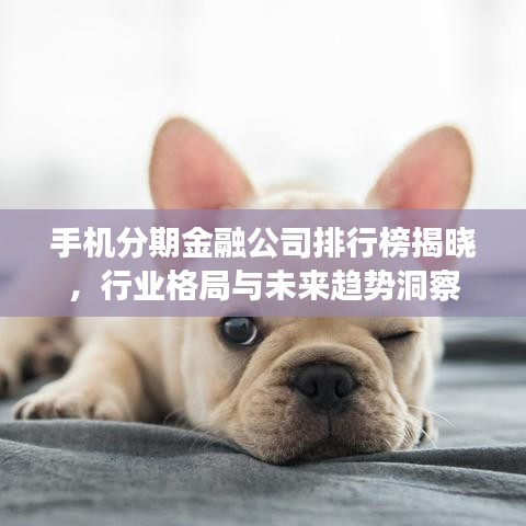 手机分期金融公司排行榜揭晓，行业格局与未来趋势洞察