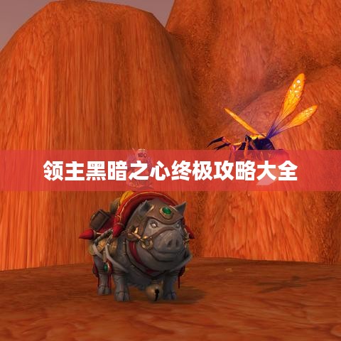 领主黑暗之心终极攻略大全