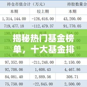 揭秘热门基金榜单，十大基金排名大解析！