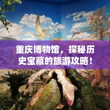 重庆博物馆，探秘历史宝藏的旅游攻略！
