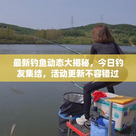 最新钓鱼动态大揭秘，今日钓友集结，活动更新不容错过