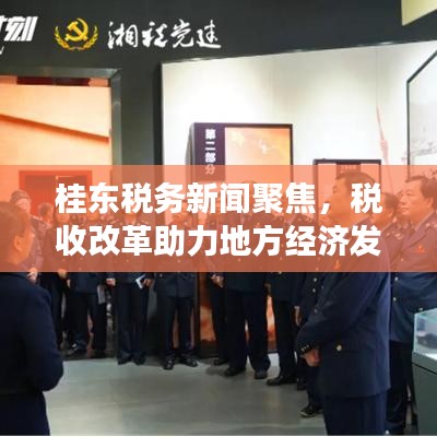 桂东税务新闻聚焦，税收改革助力地方经济发展，头条视频解读！