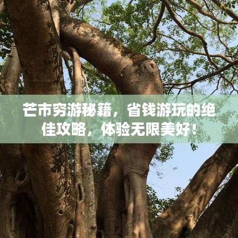 芒市穷游秘籍，省钱游玩的绝佳攻略，体验无限美好！