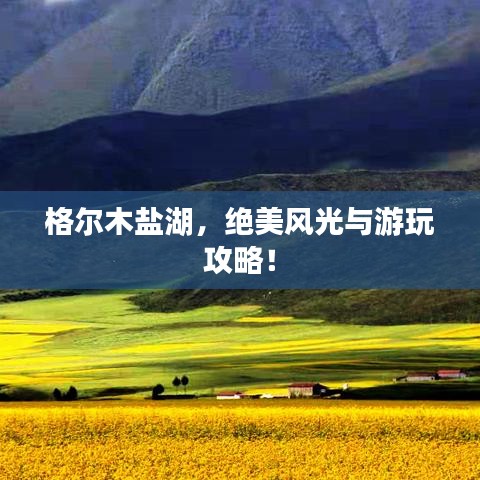 择善而从 第2页