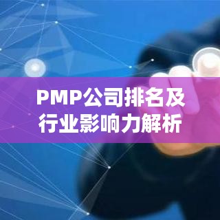 PMP公司排名及行业影响力解析，揭秘其在领域内的领导地位