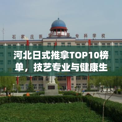 河北日式推拿TOP10榜单，技艺专业与健康生活的无缝融合
