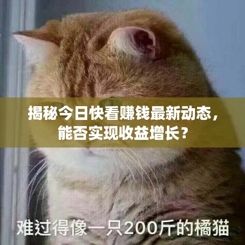揭秘今日快看赚钱最新动态，能否实现收益增长？